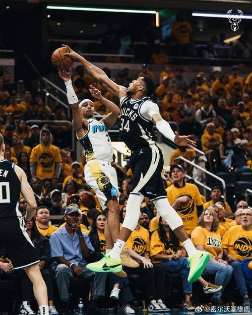 雄鹿主场击败篮网,字母哥贡献全面 雄鹿主场击败篮网,字母哥贡献全面